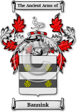 Bannink Family Crest Download (jpg) Legacy Series - 150 DPI