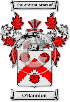 O'Bannion Family Crest Download (JPG) Legacy Series - 600 DPI