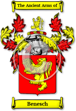 Benesch Family Crest Download (jpg) Legacy Series - 150 DPI