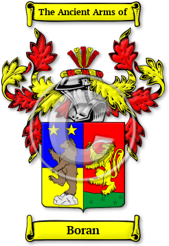 Boran Family Crest Download (jpg) Legacy Series - 150 DPI