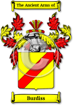 Burdiss Family Crest Download (jpg) Legacy Series - 150 DPI