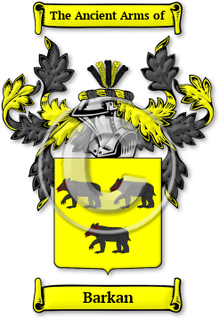 Barkan Family Crest Download (jpg) Legacy Series - 150 DPI