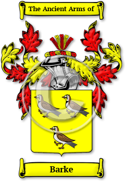 Barke Family Crest Download (jpg) Legacy Series - 150 DPI