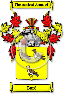 Barć Family Crest Download (JPG) Legacy Series - 600 DPI