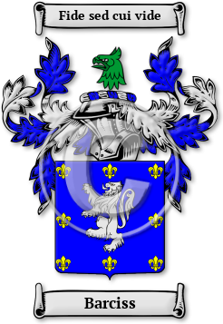 Barciss Family Crest Download (jpg) Legacy Series - 150 DPI