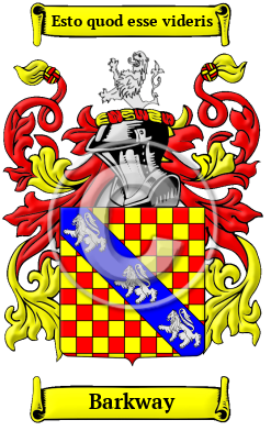 Barkway Family Crest Download (JPG) Heritage Series - 600 DPI