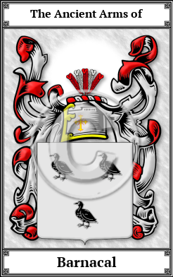 Barnacal Family Crest Download (JPG) Book Plated - 600 DPI