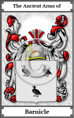 Barnicle Family Crest Download (JPG)  Book Plated - 150 DPI