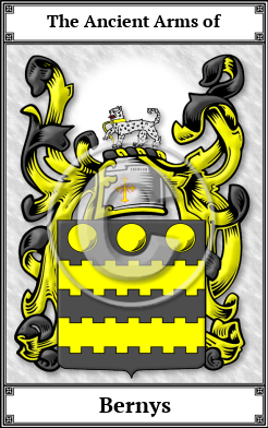 Bernys Family Crest Download (JPG)  Book Plated - 150 DPI