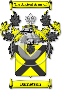Barnetson Family Crest Download (jpg) Legacy Series - 150 DPI