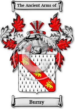 Burny Family Crest Download (jpg) Legacy Series - 150 DPI