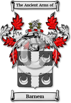 Barnem Family Crest Download (jpg) Legacy Series - 150 DPI