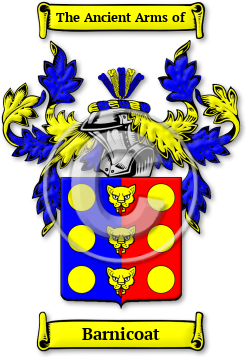 Barnicoat Family Crest Download (jpg) Legacy Series - 150 DPI