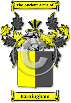 Barningham Family Crest Download (jpg) Legacy Series - 150 DPI
