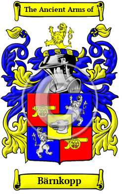 Bärnkopp Family Crest Download (JPG) Heritage Series - 300 DPI