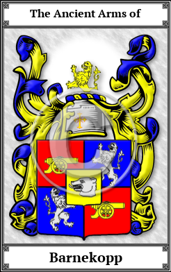 Barnekopp Family Crest Download (JPG) Book Plated - 600 DPI