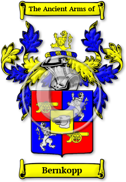 Bernkopp Family Crest Download (jpg) Legacy Series - 150 DPI