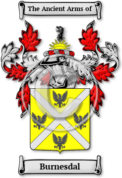 Burnesdal Family Crest Download (jpg) Legacy Series - 150 DPI
