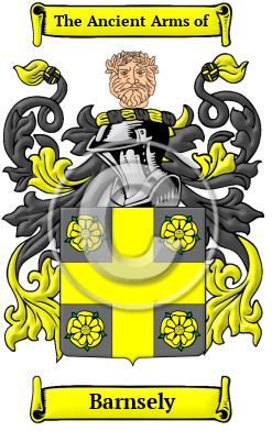Barnsely Family Crest/Coat of Arms