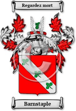 Barnstaple Family Crest Download (jpg) Legacy Series - 150 DPI