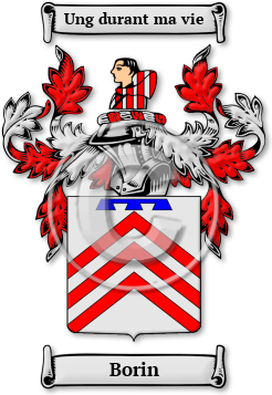 Borin Family Crest Download (jpg) Legacy Series - 150 DPI