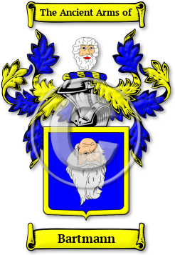 Bartmann Family Crest Download (JPG) Legacy Series - 600 DPI