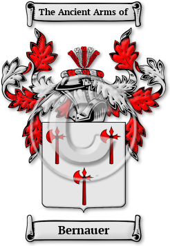 Bernauer Family Crest Download (jpg) Legacy Series - 150 DPI