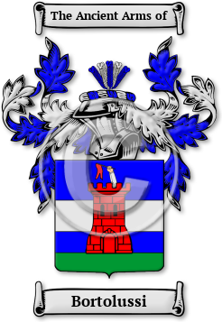 Bortolussi Family Crest Download (jpg) Legacy Series - 150 DPI
