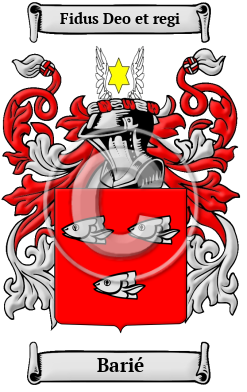 Barié Family Crest Download (JPG) Heritage Series - 300 DPI