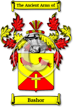 Bashor Family Crest Download (jpg) Legacy Series - 150 DPI