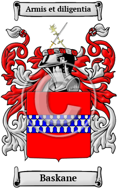 Baskane Family Crest Download (JPG) Heritage Series - 600 DPI