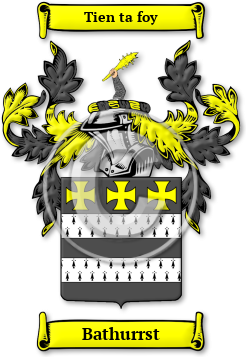 Bathurrst Family Crest Download (jpg) Legacy Series - 150 DPI
