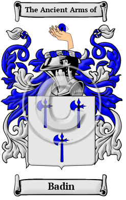 Badin Family Crest Download (JPG) Heritage Series - 600 DPI
