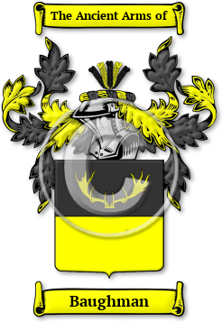 Baughman Family Crest Download (JPG) Legacy Series - 600 DPI