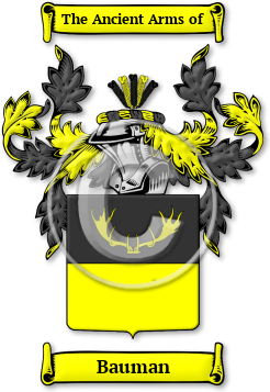 Bauman Family Crest Download (JPG) Legacy Series - 600 DPI