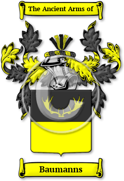 Baumanns Family Crest Download (jpg) Legacy Series - 150 DPI