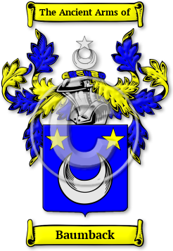 Baumback Family Crest Download (jpg) Legacy Series - 150 DPI