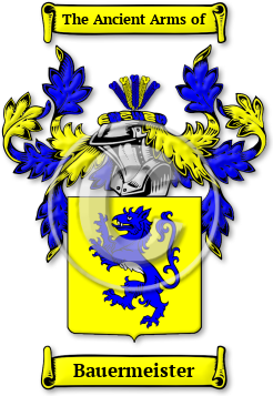 Bauermeister Family Crest Download (jpg) Legacy Series - 150 DPI