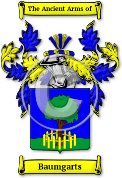 Baumgarts Family Crest Download (jpg) Legacy Series - 150 DPI