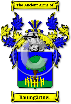 Baumgärtner Family Crest Download (jpg) Legacy Series - 150 DPI