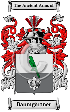 Baumgärtner Family Crest/Coat of Arms