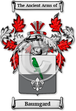 Baumgard Family Crest Download (jpg) Legacy Series - 150 DPI