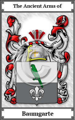 Baumgarte Family Crest Download (JPG)  Book Plated - 150 DPI