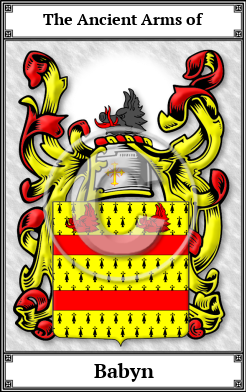 Babyn Family Crest Download (JPG)  Book Plated - 150 DPI
