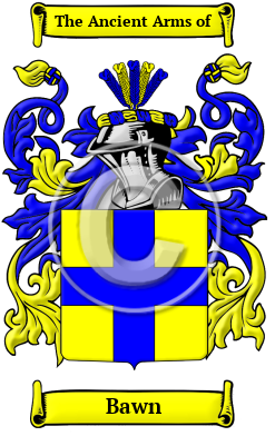 Bawn Family Crest Download (JPG) Heritage Series - 600 DPI