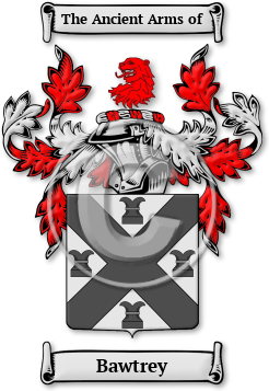 Bawtrey Family Crest Download (JPG) Legacy Series - 600 DPI