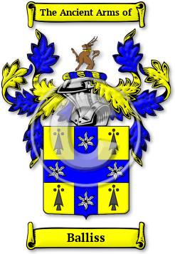 Balliss Family Crest Download (jpg) Legacy Series - 150 DPI