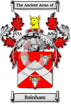 Bainham Family Crest Download (jpg) Legacy Series - 150 DPI