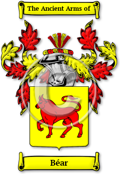 Béar Family Crest Download (jpg) Legacy Series - 150 DPI