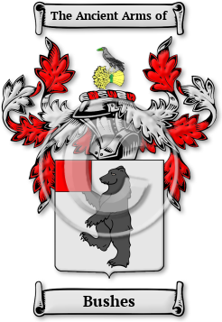 Bushes Family Crest Download (jpg) Legacy Series - 150 DPI